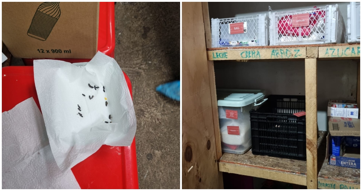Prohíben funcionamiento de local de sushi en Osorno