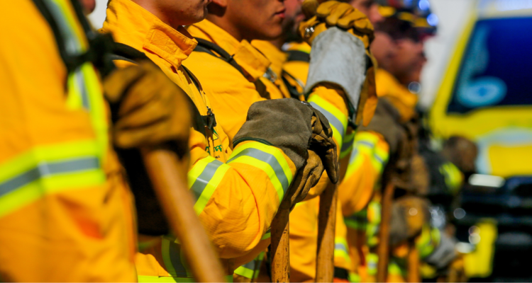 https://media.biobiochile.cl/wp-content/uploads/2026/08/rebajan-cautelares-de-exfuncionario-de-conaf-imputado-por-megaincendio-y-queda-con-arraigo-nacional-750x400.png