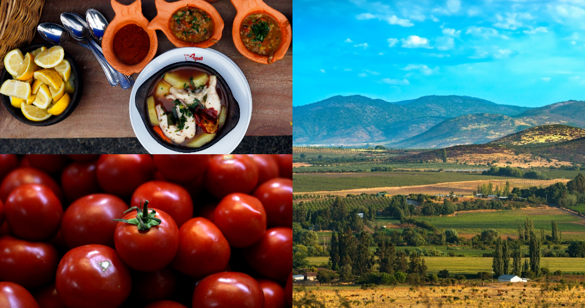 Chuchoca, tortas curicanas y más: región del Maule será la invitada de Espacio Food & Service 2026