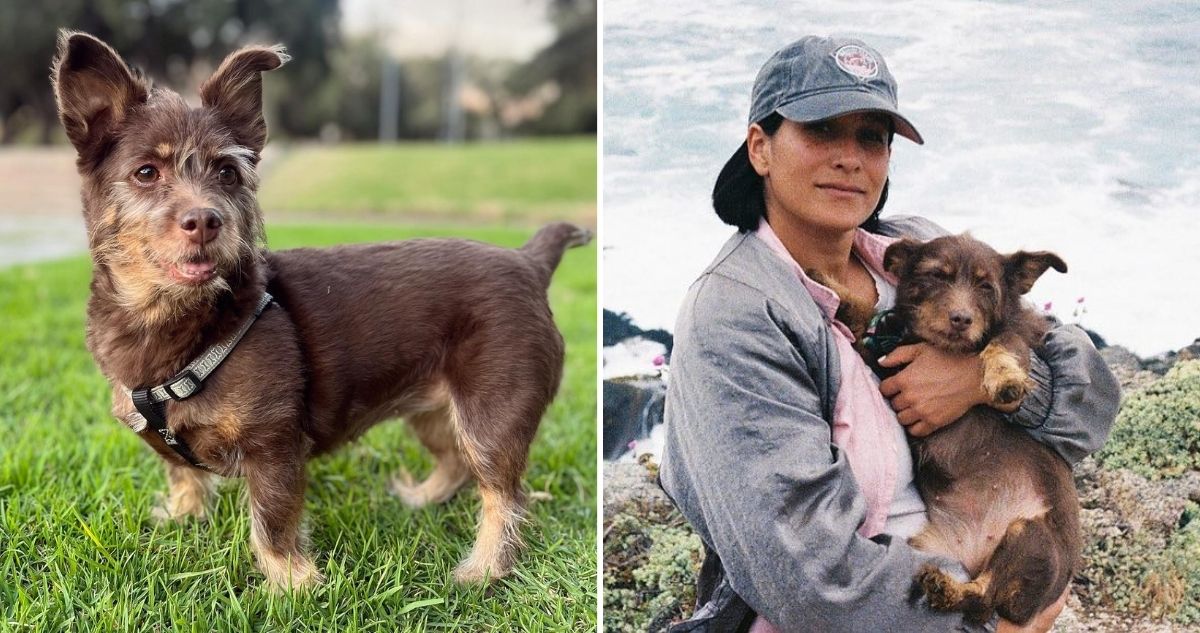 Revelan la emotiva historia de Paz Ramírez y Marta, perrita adoptada que salvó durante fatal atropello