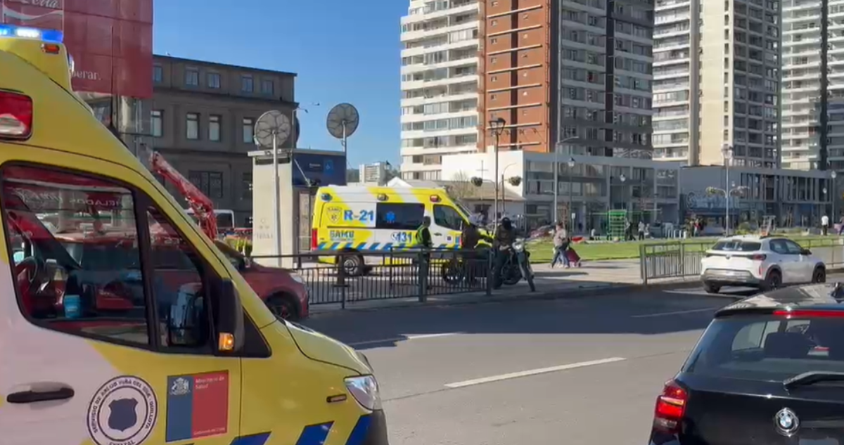 Robo a golpes al interior de Estación Viña del Mar deja a presunta víctima lesionada