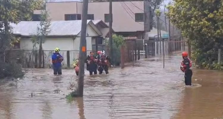 Captura de video