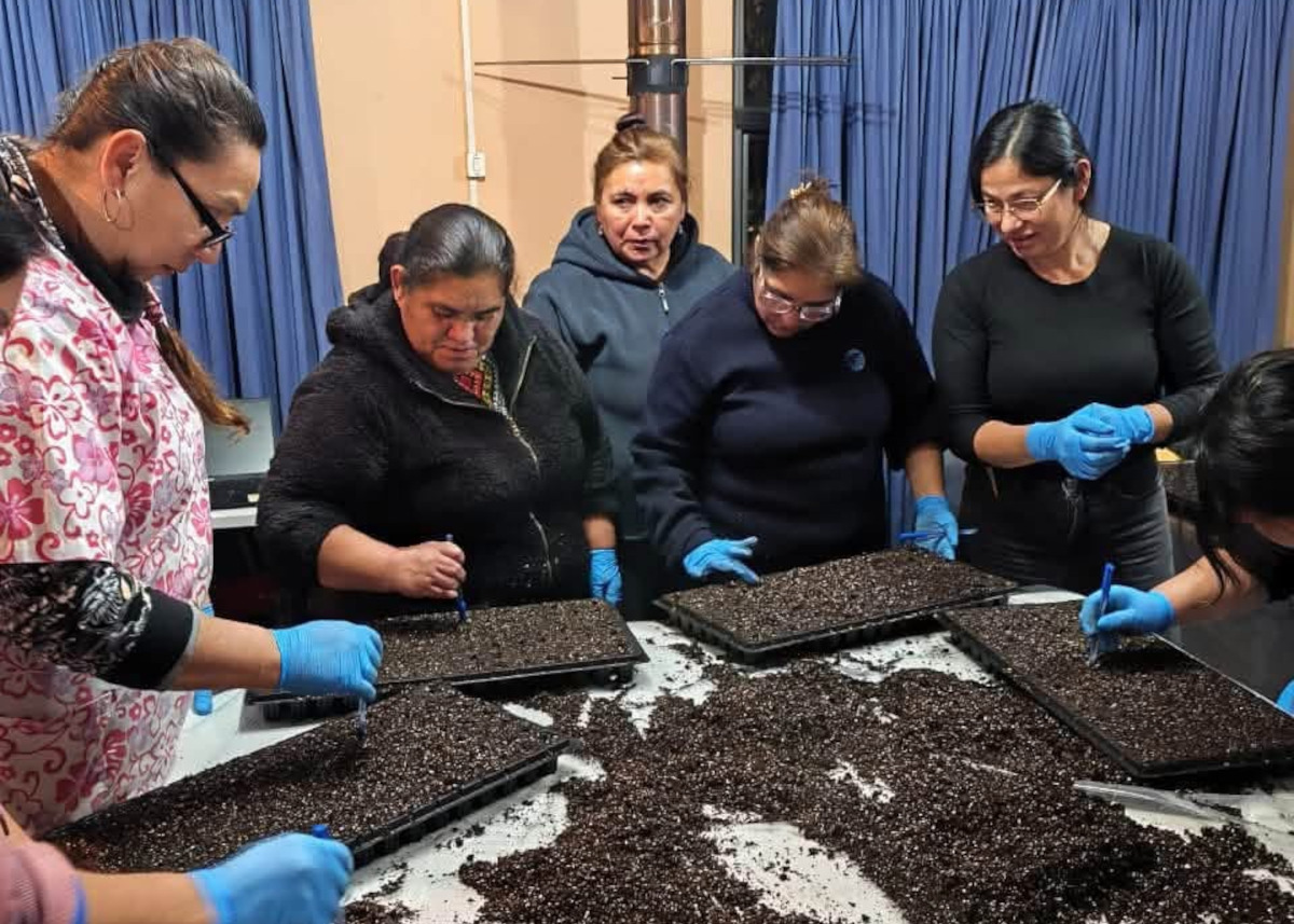 Quiero mi Barrio impulsa huertos familiares para promover cuidado del medio ambiente en Santa Juana