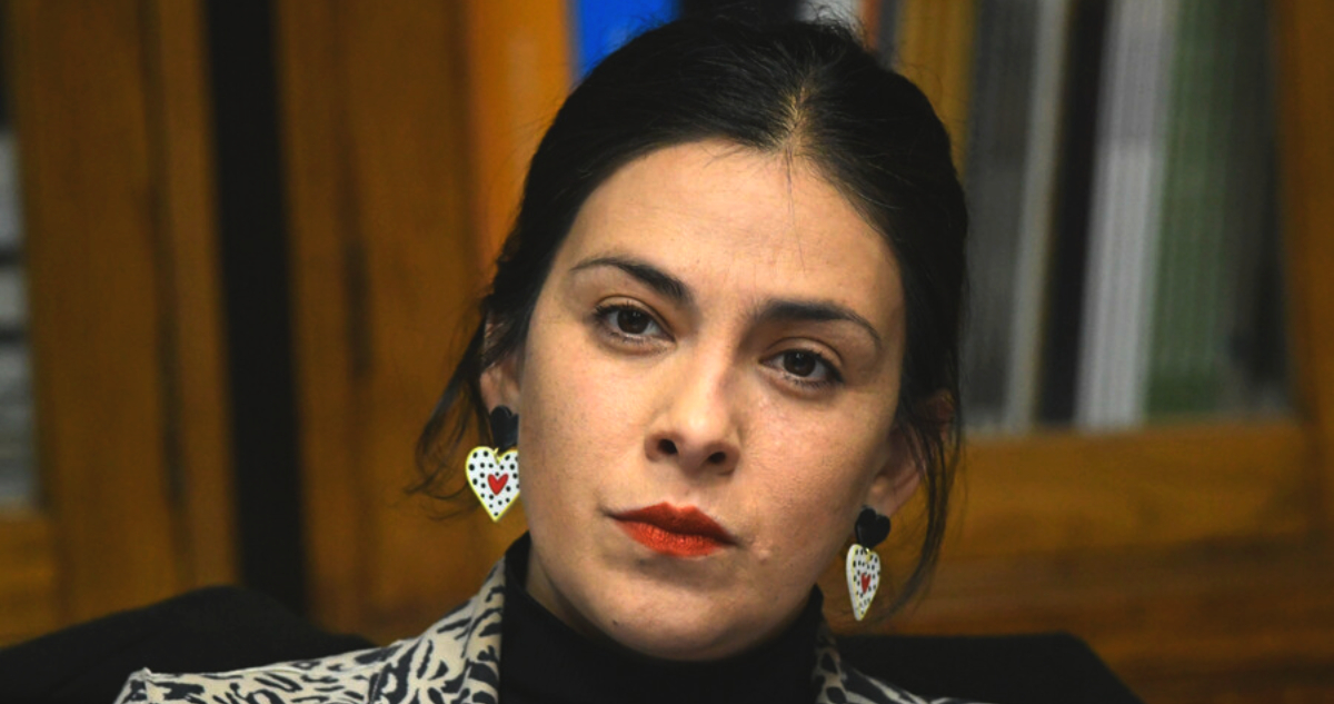 Senadora Cariola confirma defensa frontal de norma de servicios básicos ante Tribunal Constitucional