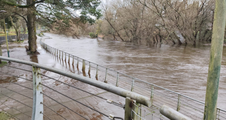 Senapred pide evacuar ribera del río Bueno y activa alerta SAE por crecidas en Osorno