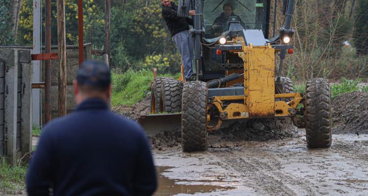 Gobierno declara emergencia agrícola en la región de Los Ríos por daños de últimos sistemas frontales