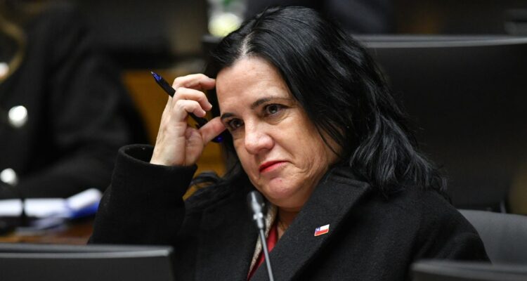 Cámara fija fecha para iniciar comisión que investigará gestión de exministra Steinert