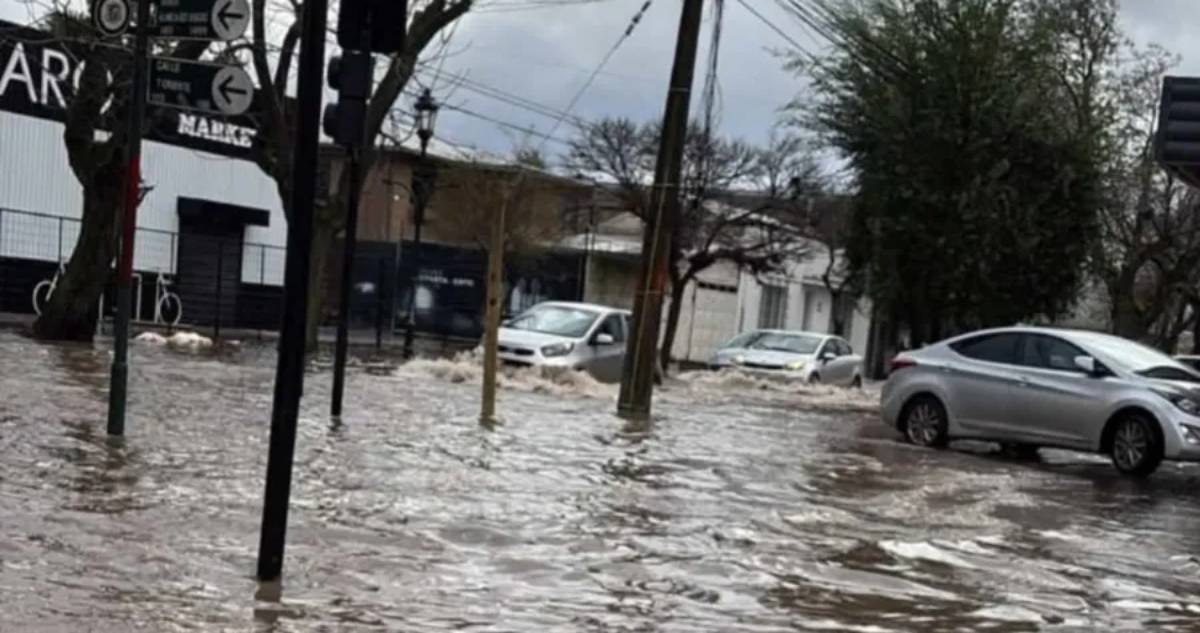 Diario El Centro