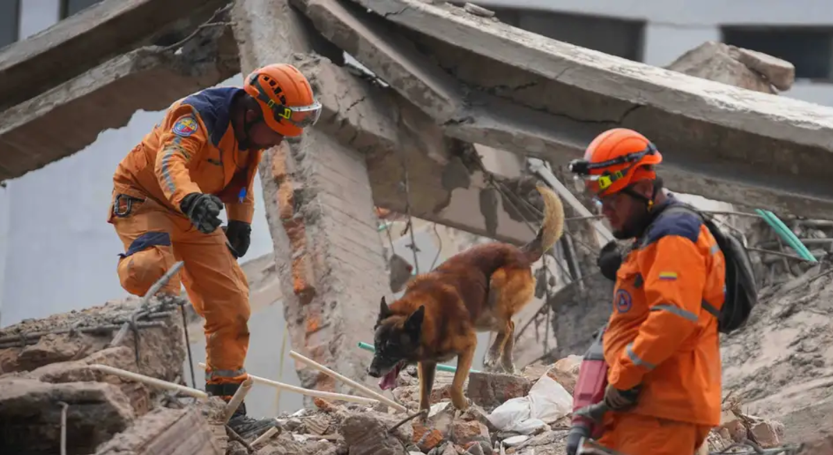 Suben a 294 los muertos por terremoto en Colombia: 353 han sido rescatados vivos entre los escombros