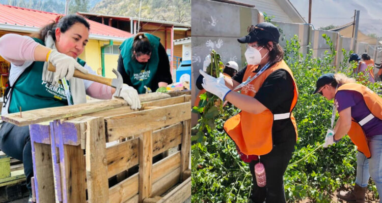 https://media.biobiochile.cl/wp-content/uploads/2026/08/trabajos-voluntarios-de-invierno-santo-tomas-750x400.jpg