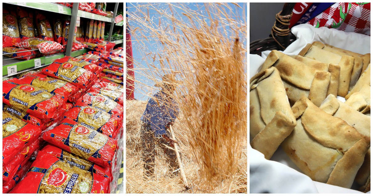 Precio mundial de trigo llega a máximo en dos años y abre riesgo de alza de ciertos alimentos en Chile