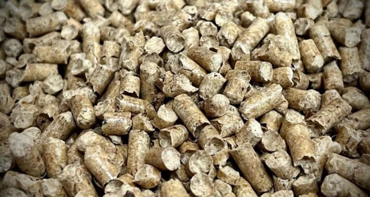 https://media.biobiochile.cl/wp-content/uploads/2026/08/vecinos-de-valdivia-acusan-escacez-de-pellet-en-plena-temporada-de-frios-750x400.jpg