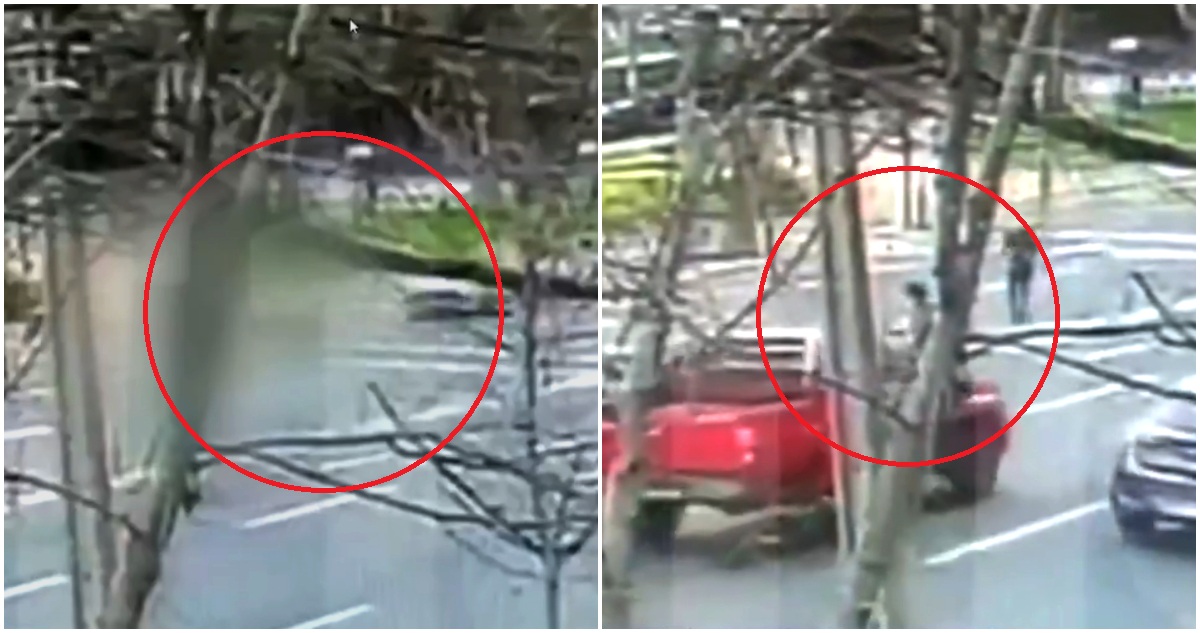 VIDEO | Cámara registra fatal atropello a cineasta Paz Ramírez y huida de conductor