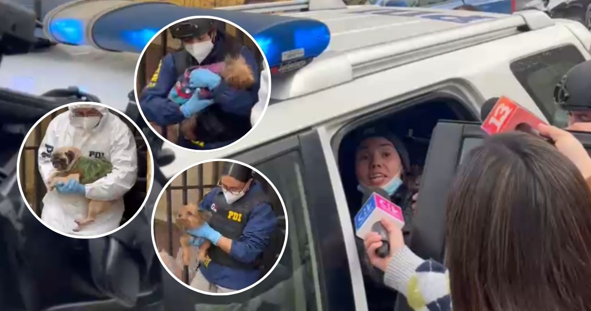 VIDEO | Detienen a una mujer por criadero clandestino con 15 perros en pleno centro de Santiago