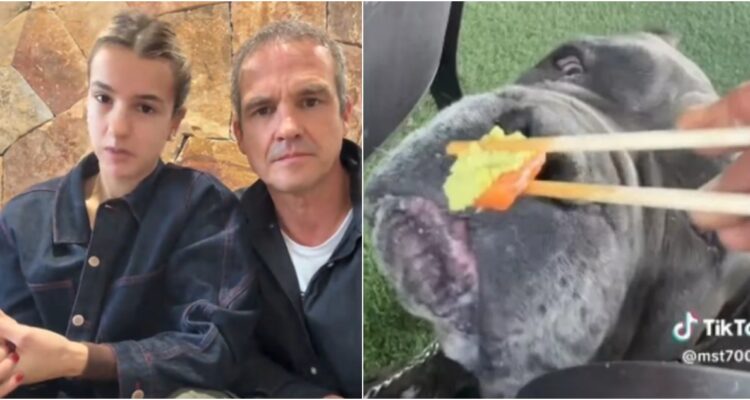 “Ese perro no puede estar en mejores manos”: familia de Josefa Sáez tras dar wasabi a su mascota