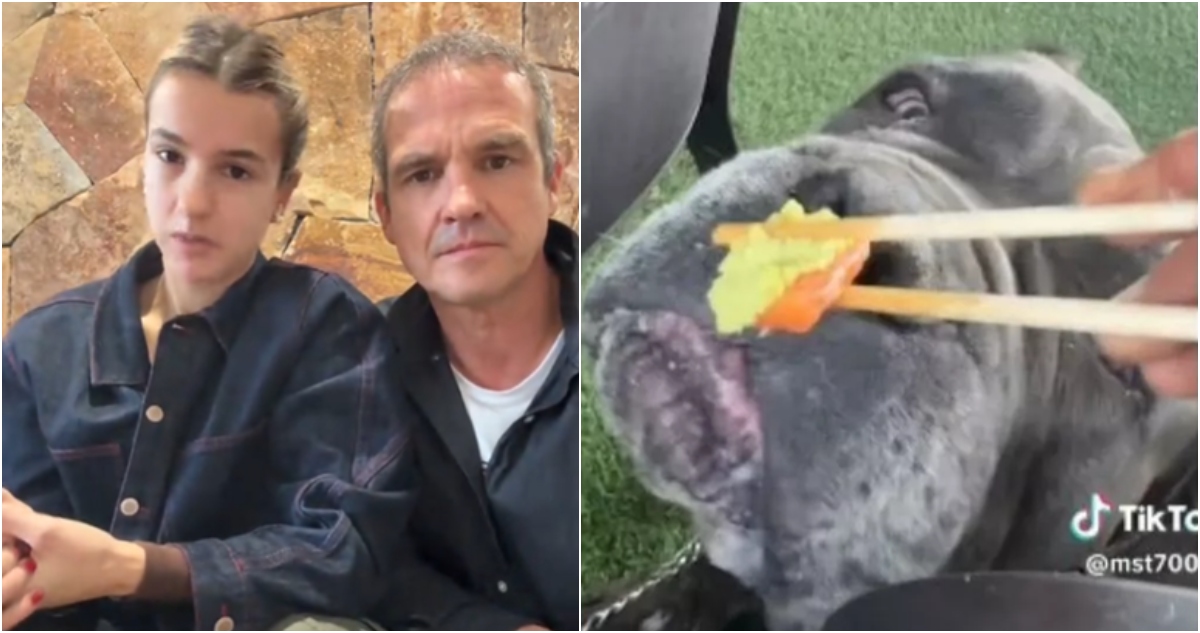 “Ese perro no puede estar en mejores manos”: familia de Josefa Sáez tras dar wasabi a su mascota
