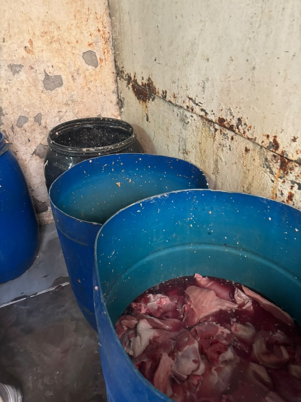 Prohíben funcionamiento de fábrica de cecinas en Osorno: fiscalización reveló infracciones sanitarias