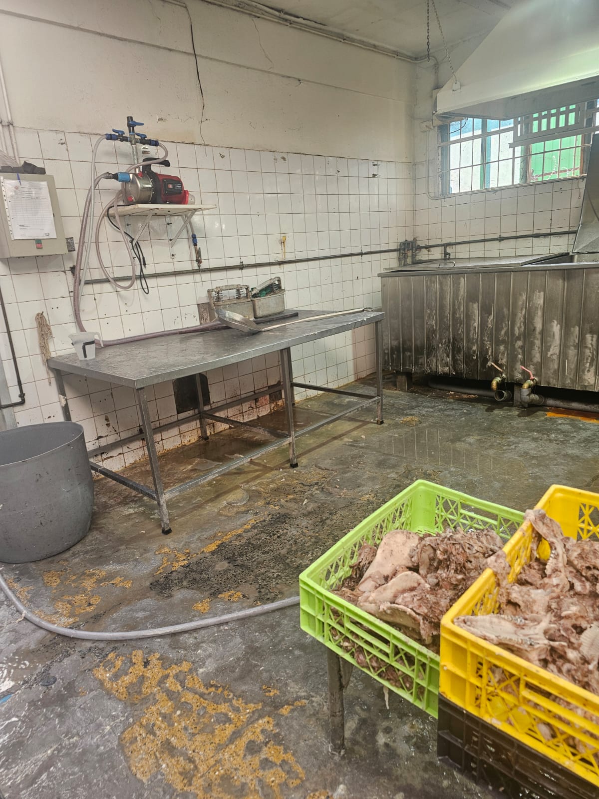Prohíben funcionamiento de fábrica de cecinas en Osorno: fiscalización reveló infracciones sanitarias