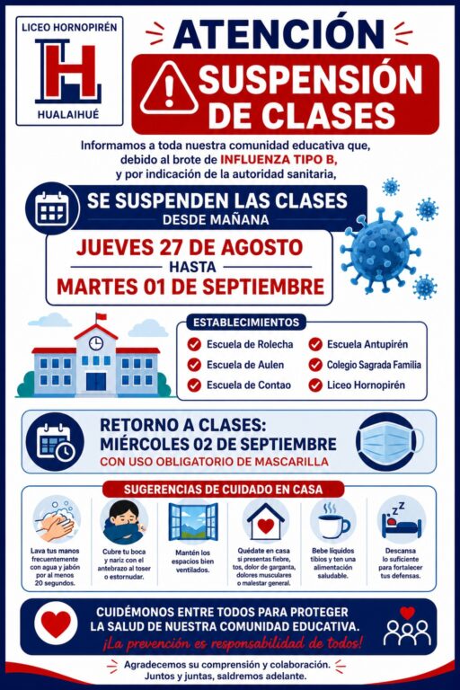 Brote habría iniciado en un colegio: Confirman 203 casos de influenza y suspenden clases en Hualaihué