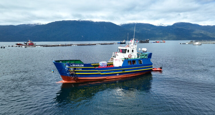 Empresas destacan nueva planta de Esmax en Puerto Montt