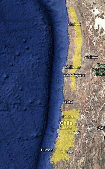 Hasta 36 °C: altas temperaturas afectarían a 3 regiones del norte el miércoles y jueves