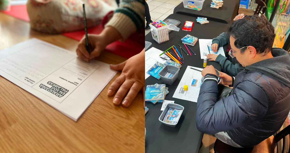 Araucanía en 100 Palabras anuncia taller de escritura gratuito a pocos días del cierre de convocatoria
