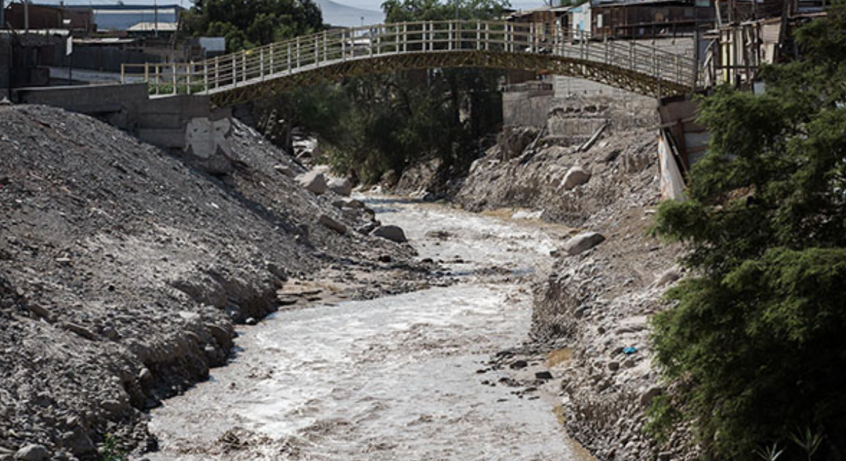 https://media.biobiochile.cl/wp-content/uploads/2026/09/arica.png