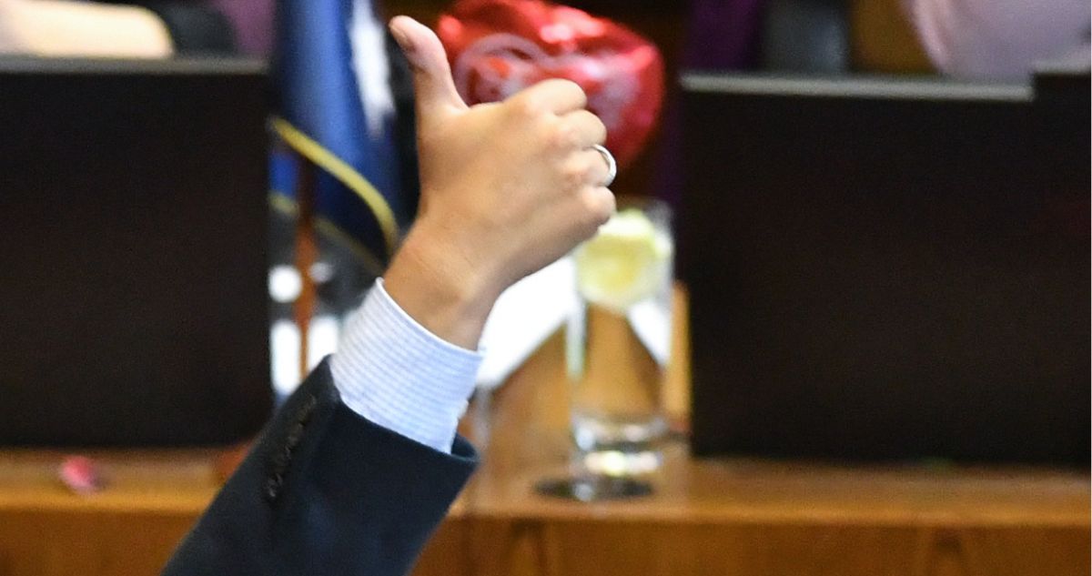 Así votaron los diputados: revisa quiénes respaldaron y rechazaron la comisión por bots