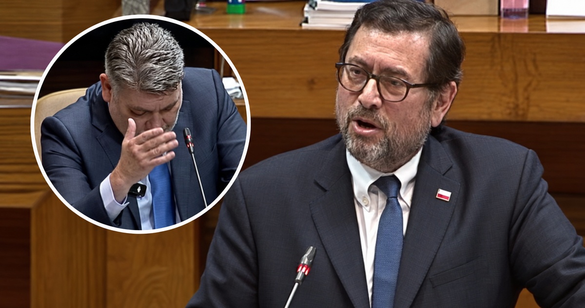 Cámara de Diputados | Captura