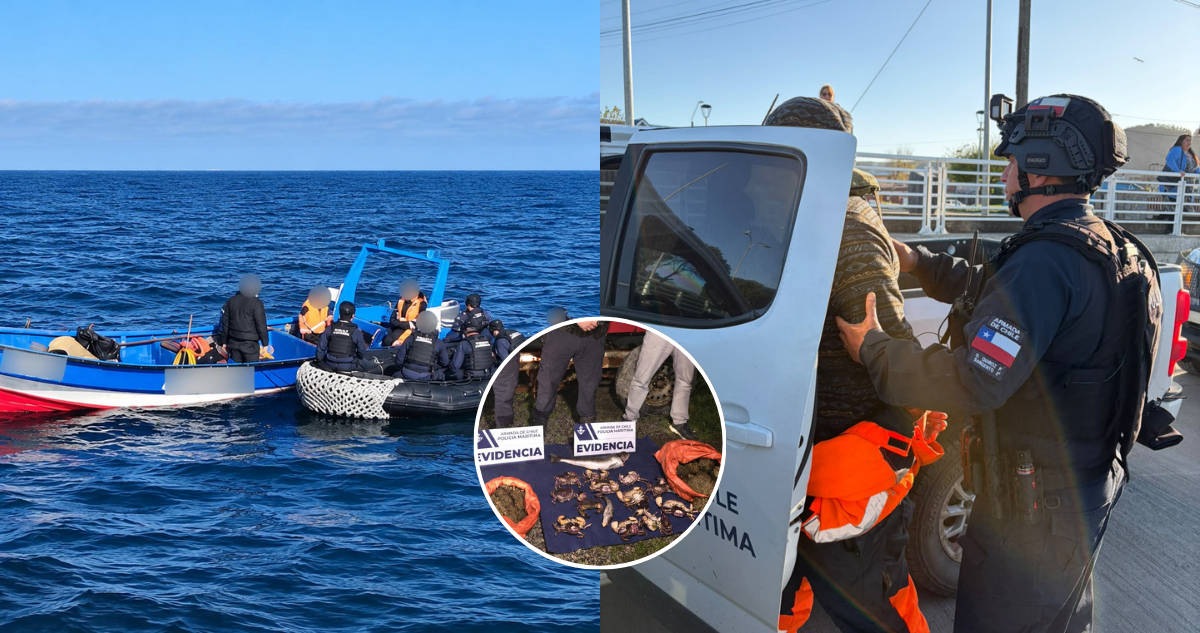 Persecución en el mar termina con 5 mariscadores detenidos por robo de especie en veda en Isla Mocha