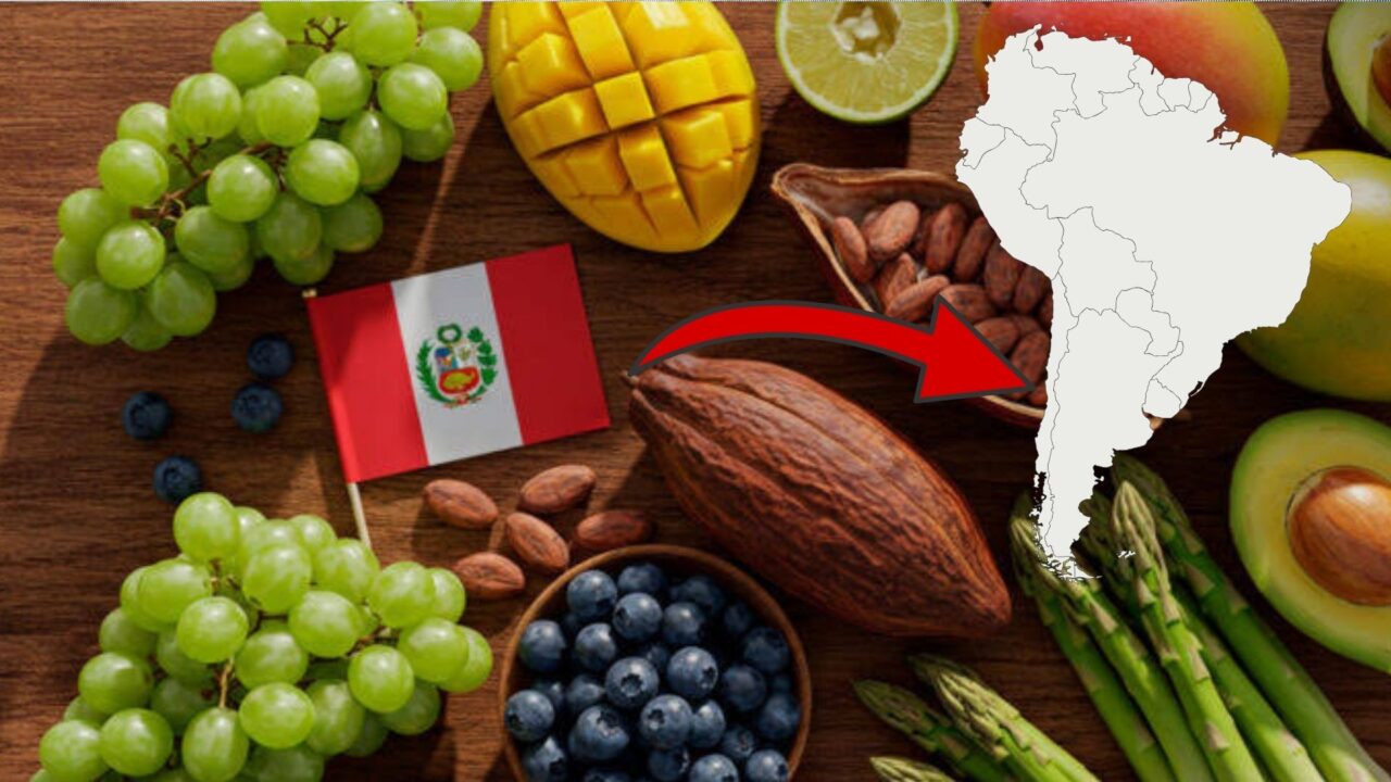 Chile está comprando cada vez más productos peruanos: así lo revelan los datos oficiales