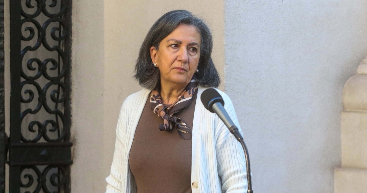 “Bastante difícil de creer”: Chomalí duda que paciente en riesgo vital haya esperado 73 horas en la RM