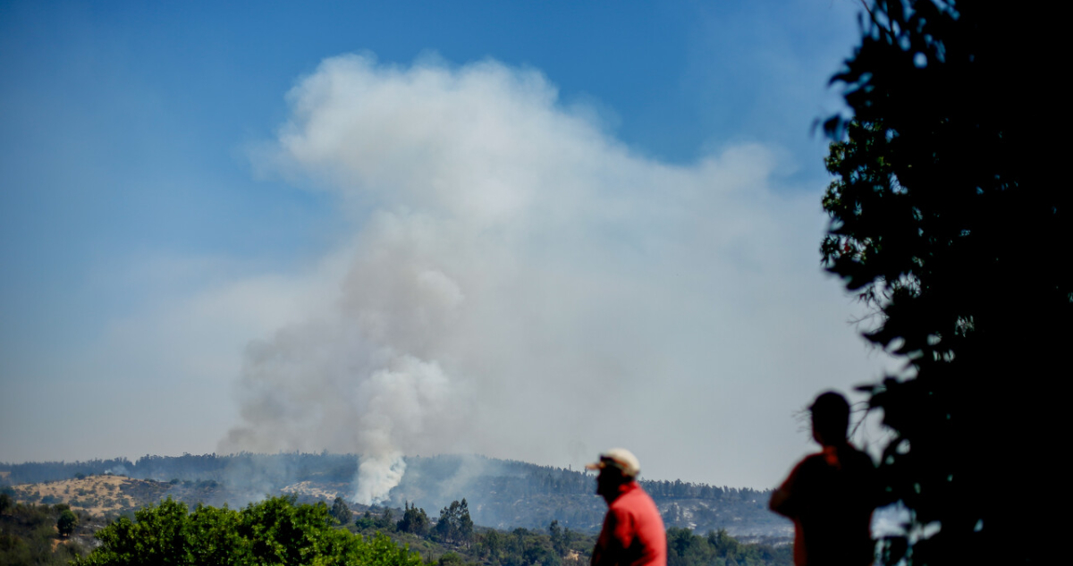Por alta temperatura y viento: Conaf suspende quemas en La Araucanía para evitar incendios forestales