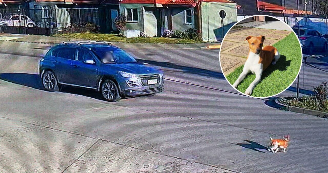 Captura de vídeo y RRSS