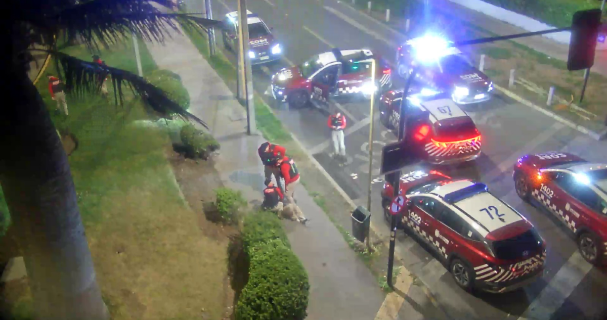 Detienen a delincuente que durante asalto en Las Condes amenazó con un destornillador a niño de 2 años