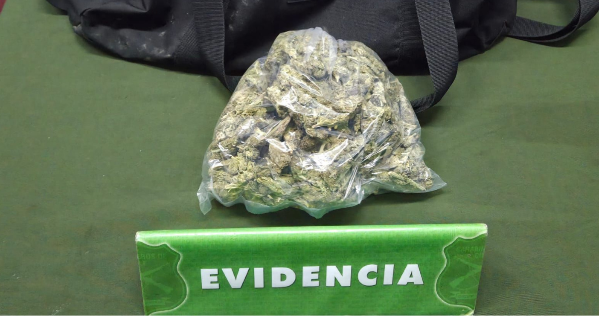Detienen a paciente hospitalizado tras hallarle más de 300 gramos de marihuana en Ancud