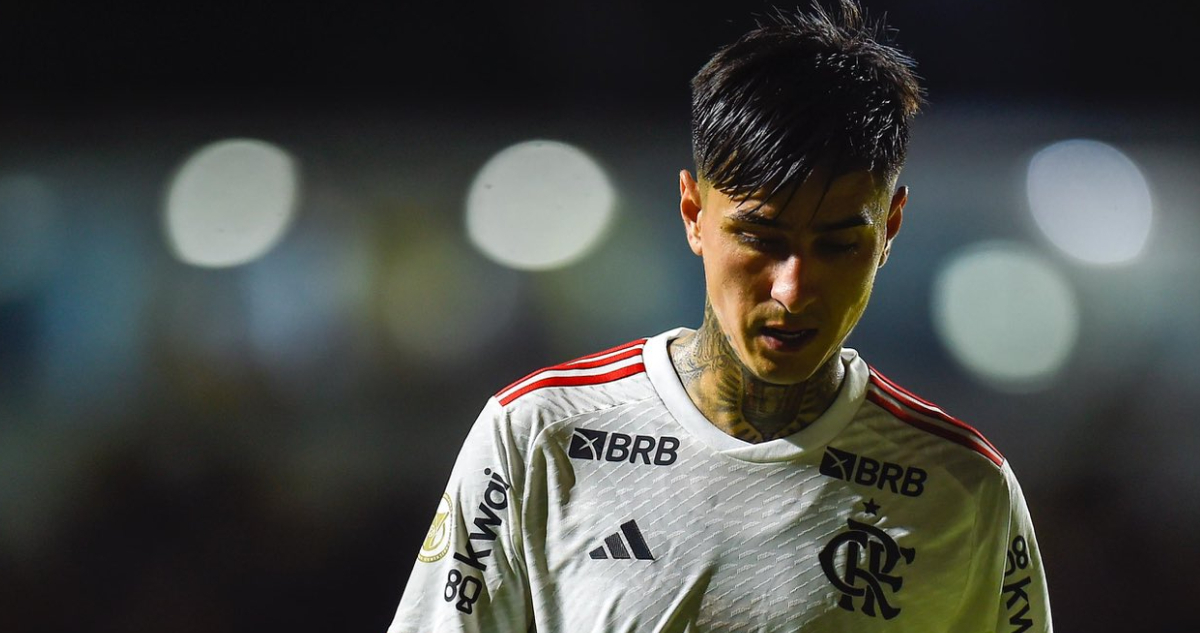 Erick Pulgar, volante de Flamengo.