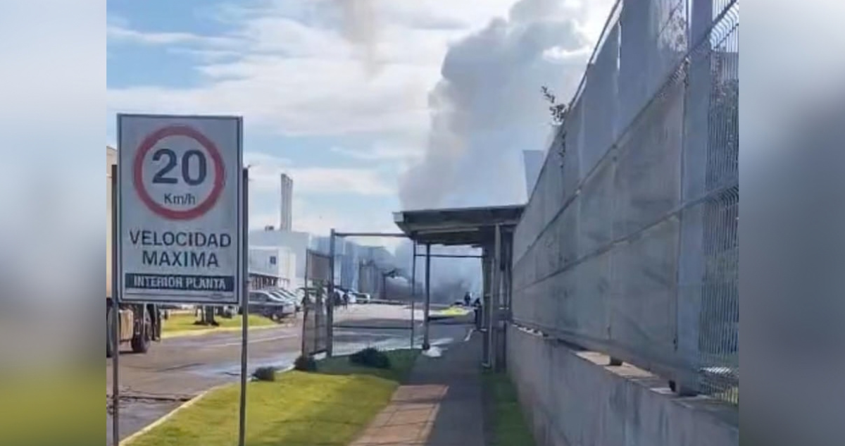 Aumentan a cinco los trabajadores afectados por explosión en planta de Colun en La Unión