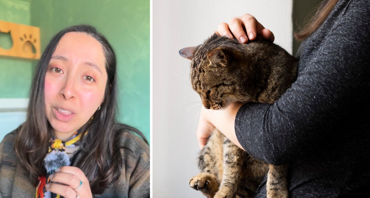 Gato quedó ciego por diera recomendada por influencer: Veterinarias advierten riesgo de darles pollo
