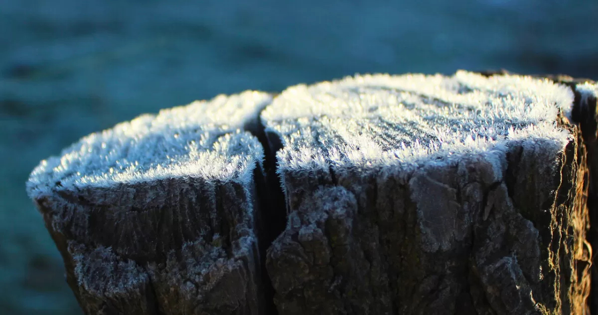 Heladas