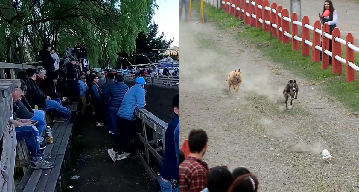 canódromo