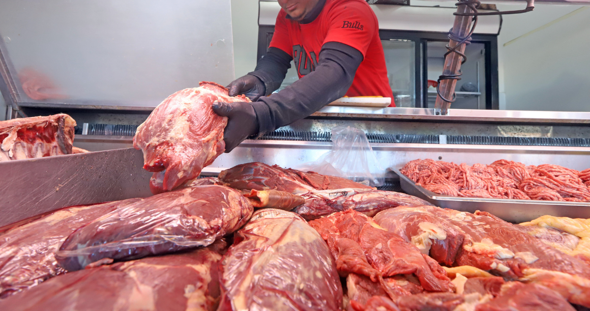 Incautan más de 1,4 toneladas de carne vencida durante fiscalización por Fiestas Patrias en Mariquina