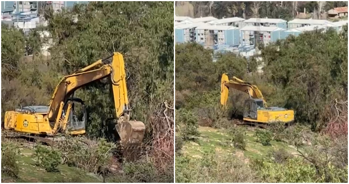 Captura de video | Cedido a RBB Valparaíso