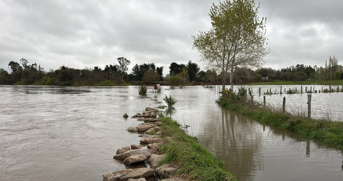 4.500 personas siguen aisladas por inundaciones tras sistema frontal que azotó a La Araucanía