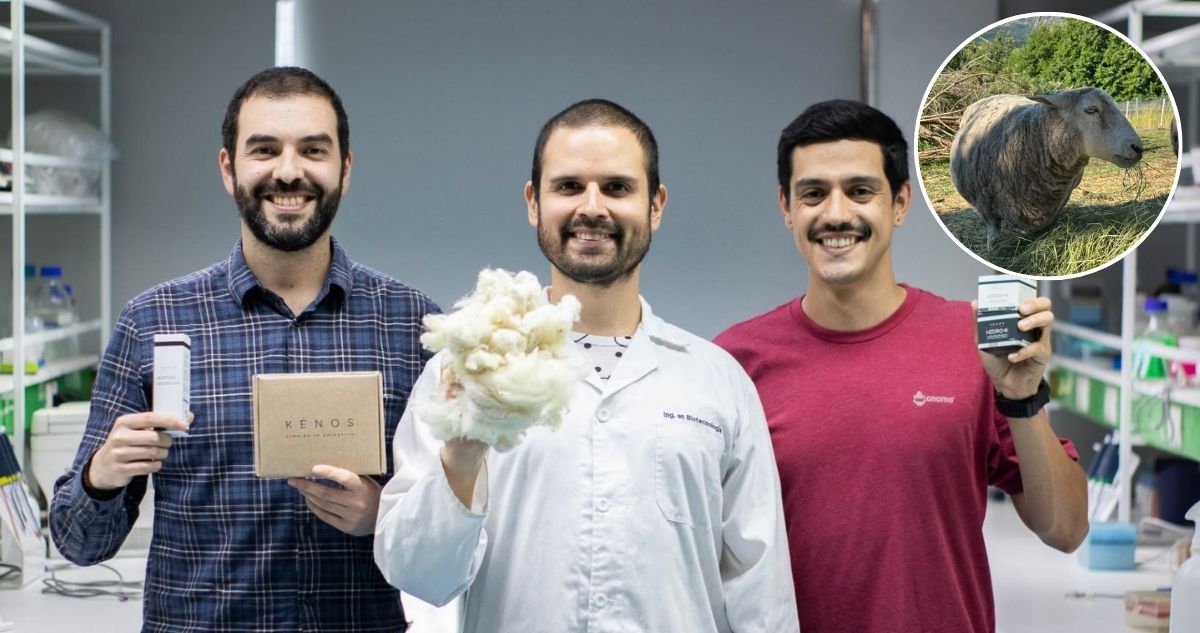 Marcelo Montoya (centro) Ignacio Barros (der) y Maximiliano Schele (izq). 