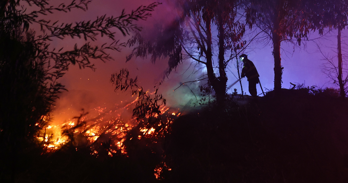 Ley de Incendios