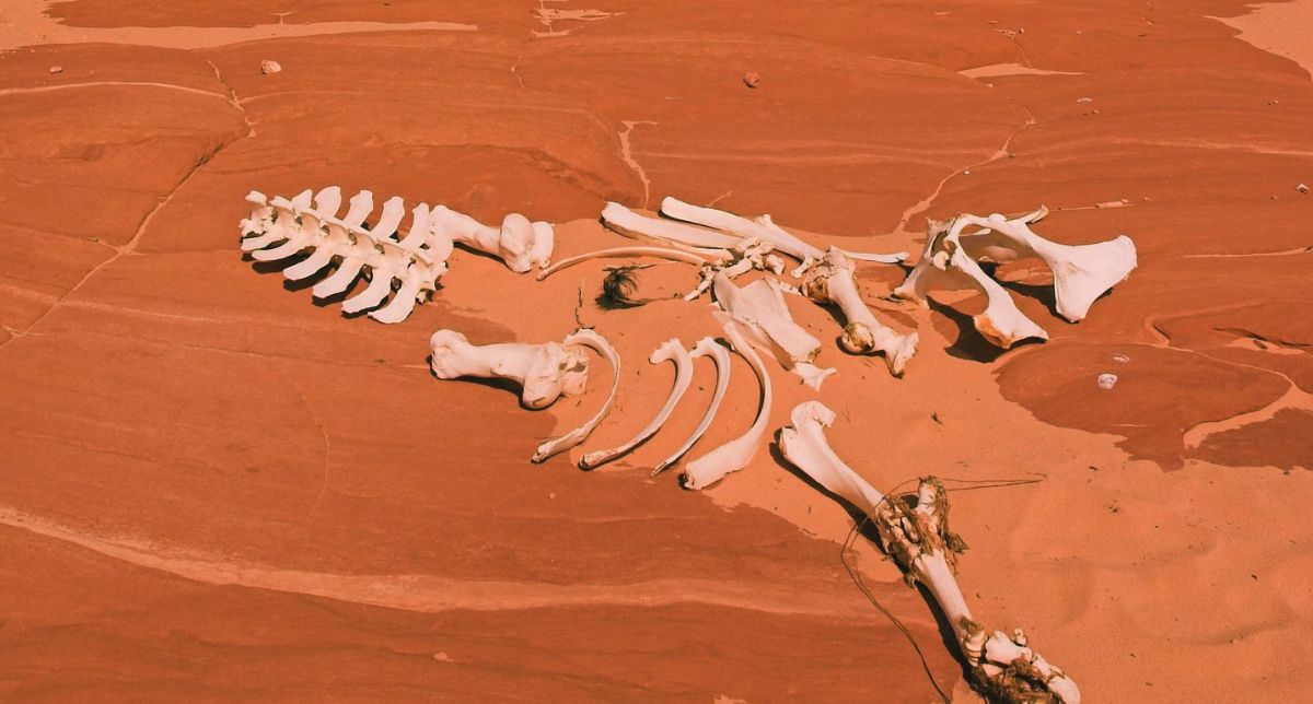 “Nos quedamos sin tiempo”: La Tierra entra en zona roja con límites habitables totalmente sobrepasados