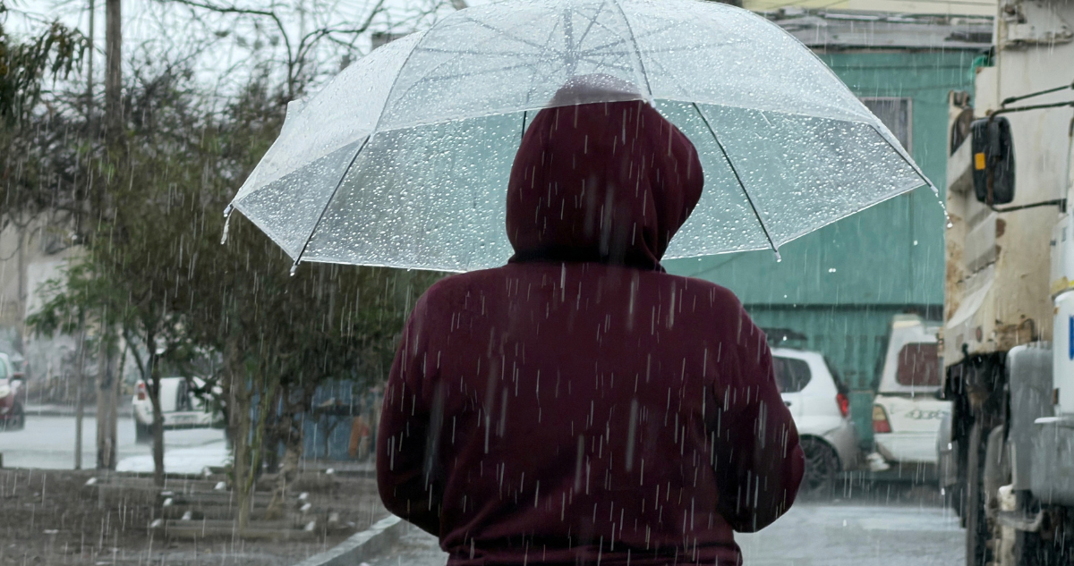 Decretan Alerta Amarilla para La Araucanía y se esperan hasta 120 mm de lluvias para este miércoles