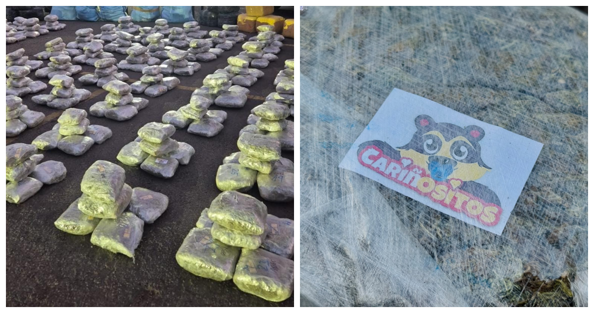 Los “cariñositos” no llegarán a Puente Alto: incautan una tonelada de marihuana de origen boliviano