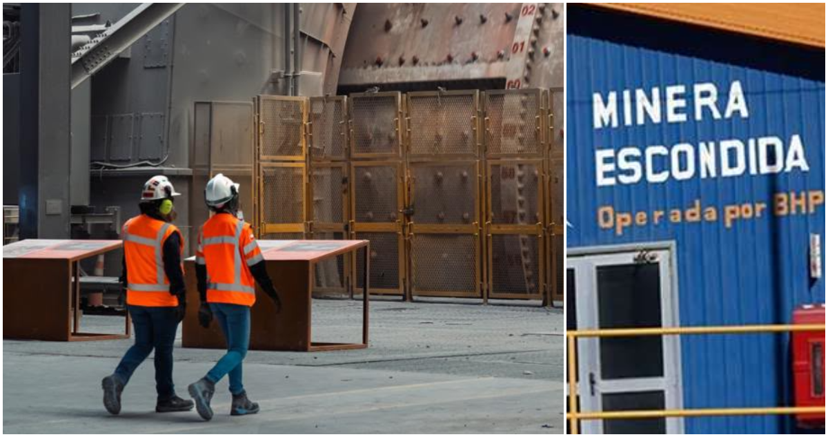 De bono de $23,5 millones a cubrir congelar óvulos: El detalle de la negociación sindical en Escondida
